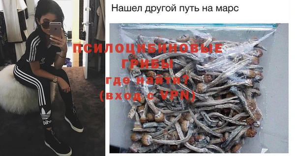 a pvp Верея