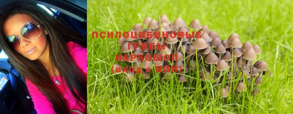 a pvp Верея