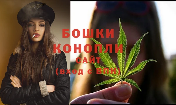 spice Волосово