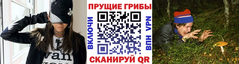 маркетплейс официальный сайт  закладка  Щёлково  Псилоцибиновые грибы мицелий 
