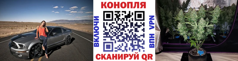 Бошки марихуана конопля  kraken сайт  Щёлково 